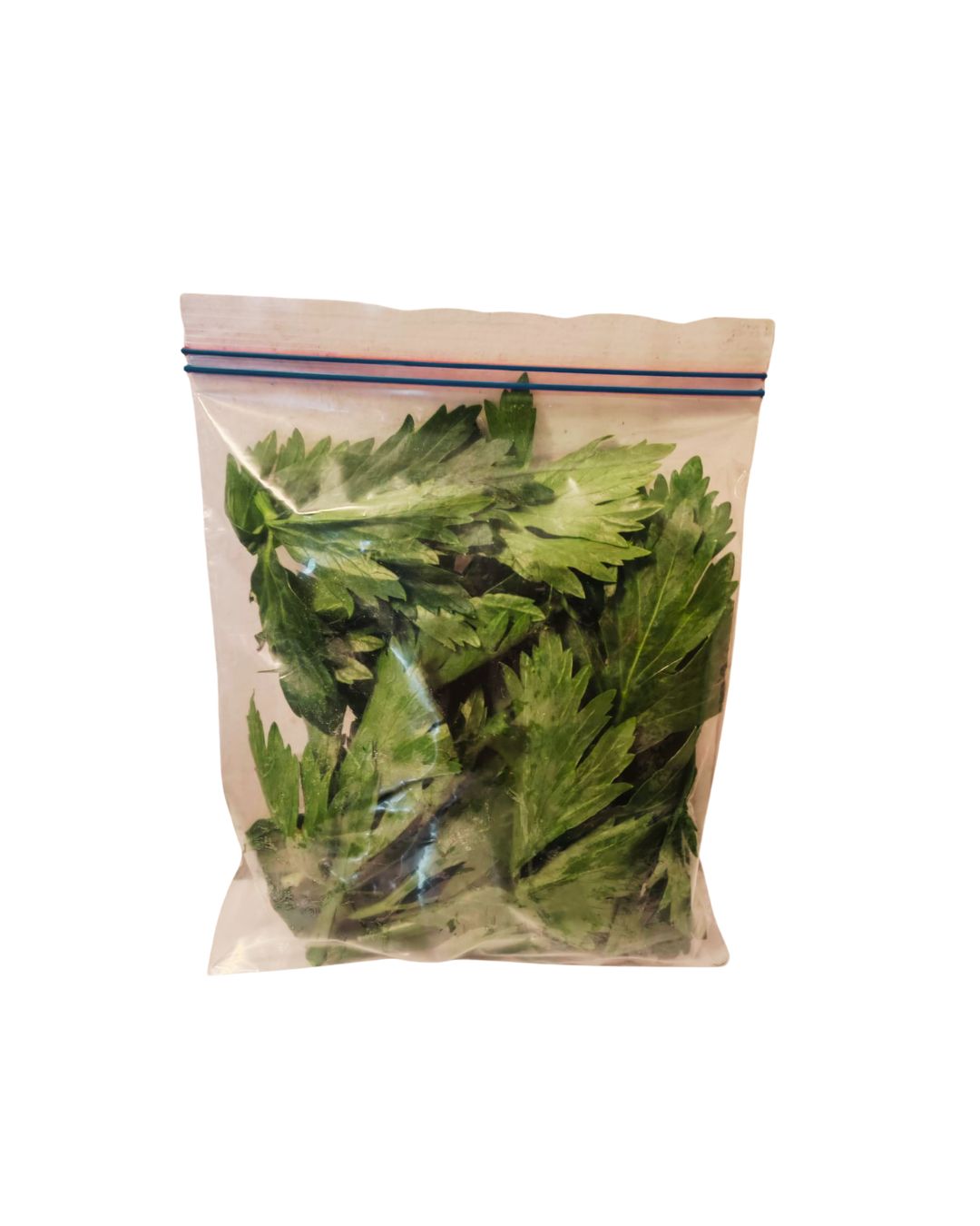 Hojas de Apio Bolsa
