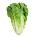 Lechuga Costina Unidad