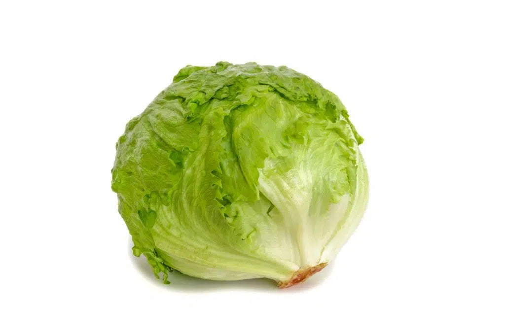 Lechuga Escarola