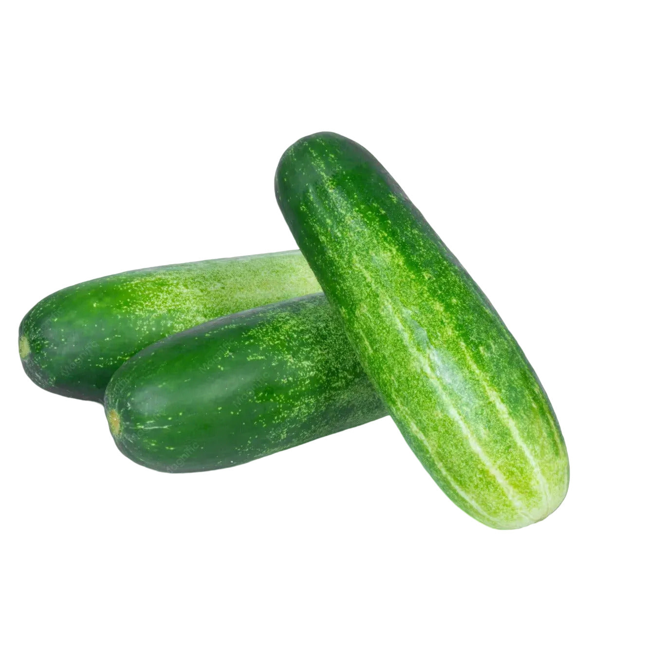 Pepino x Unidad